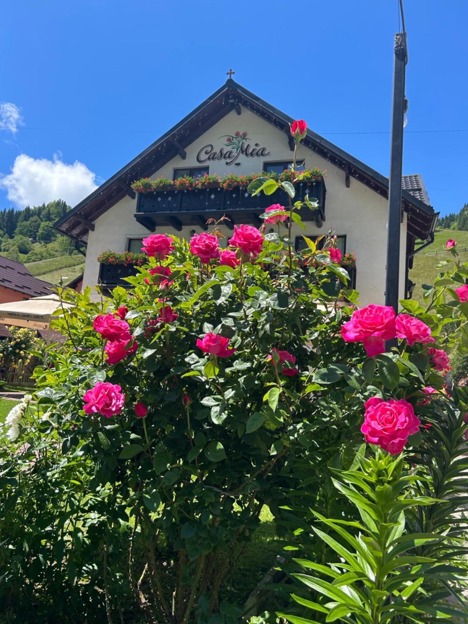 Hotel Casa Mia Moeciu De Sus Exterior foto